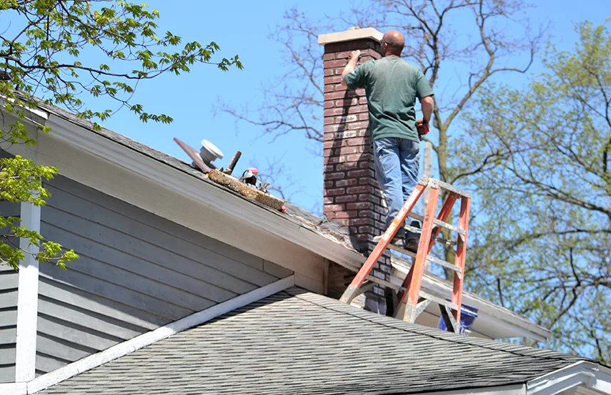 Chimney & Fireplace Inspections Services in San Juan, TX